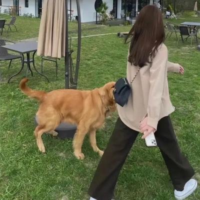 穿墙隐形人